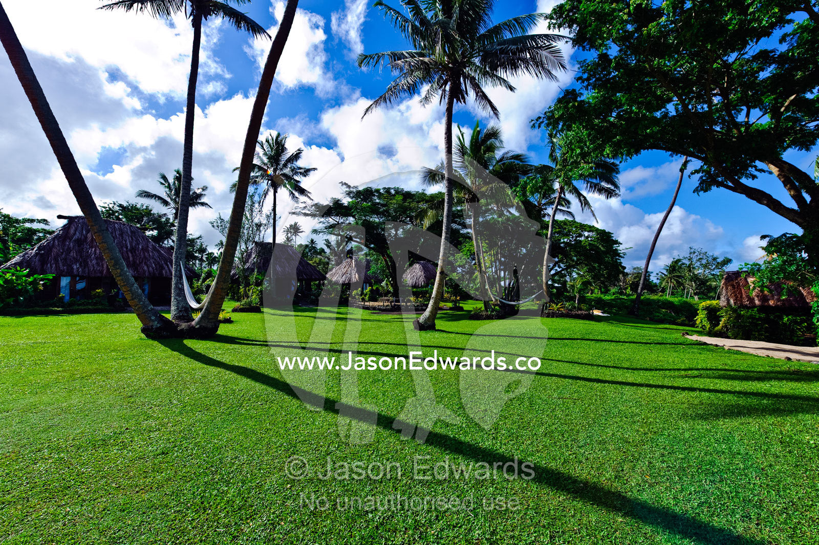 Traditional thatched burees overlook a garden with palm trees. Paradise Taveuni, Taveuni Island, Pacific Ocean, Fiji Islands.