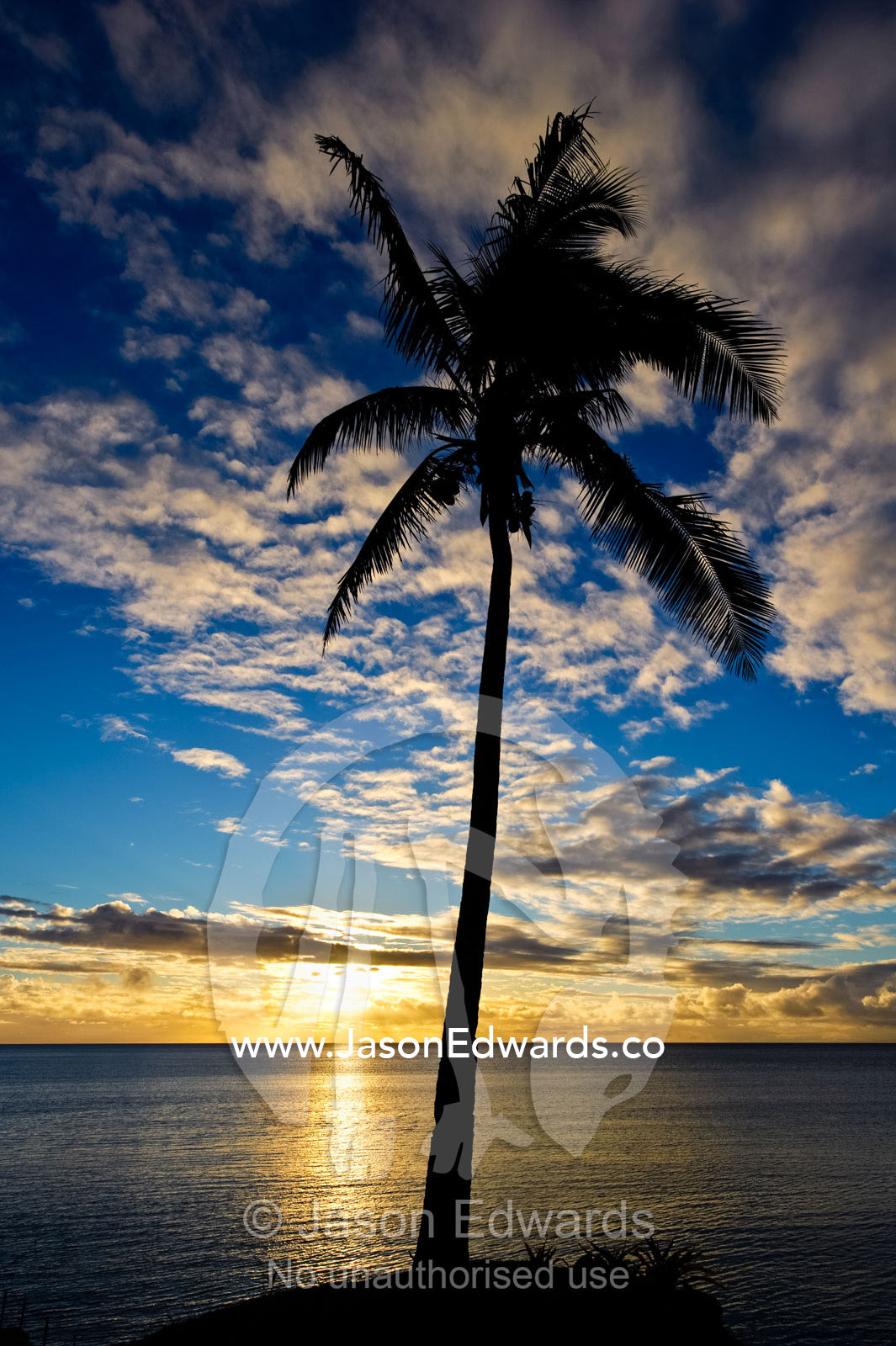 An idyllic palm tree silhouette overlooking the ocean at sunset. Paradise Taveuni, Taveuni Island, Somosomo Strait, Pacific Ocean, Fiji Islands.