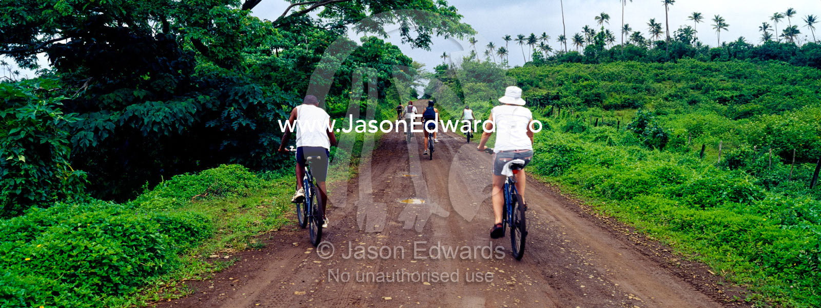 Tourists explore a lush, rural tropical island on mountain bikes. Taveuni Island, Pacific Ocean, Fiji Islands.