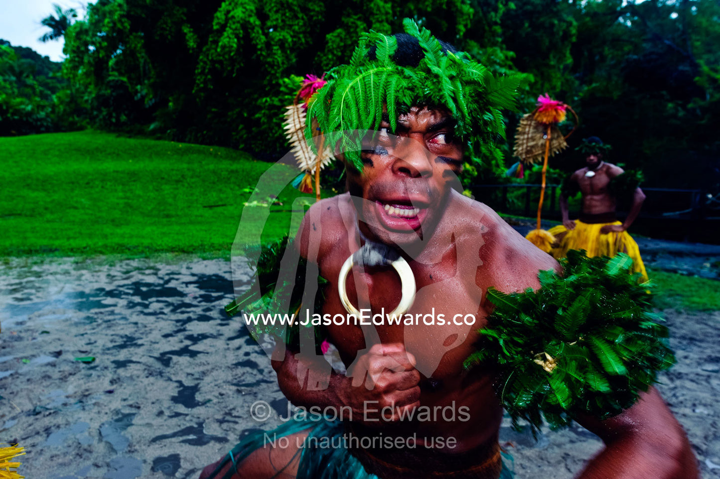 A warrior gives a terrifying battle cry during a Meke dance ceremony. Fiji Arts Village, Viti Levu, Pacific Ocean, Fiji Islands.
