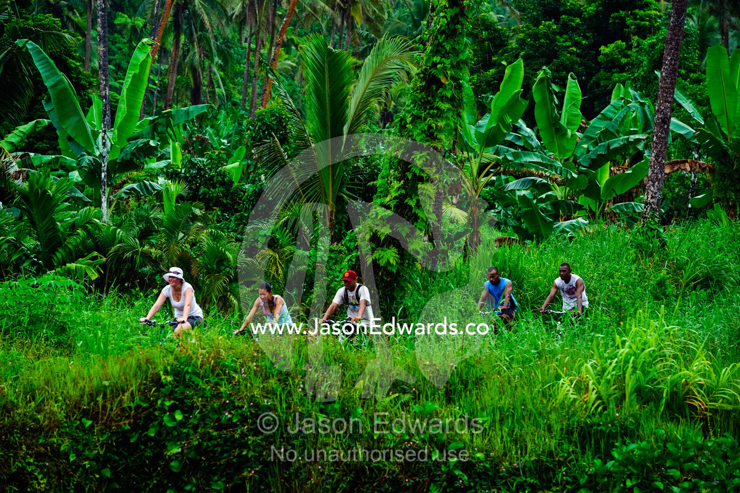 Tourists cycle through lush green fields on a tropical island. Bouma Falls, Bouma National Heritage Park, Taveuni Island, Pacific Ocean, Fiji Islands.
