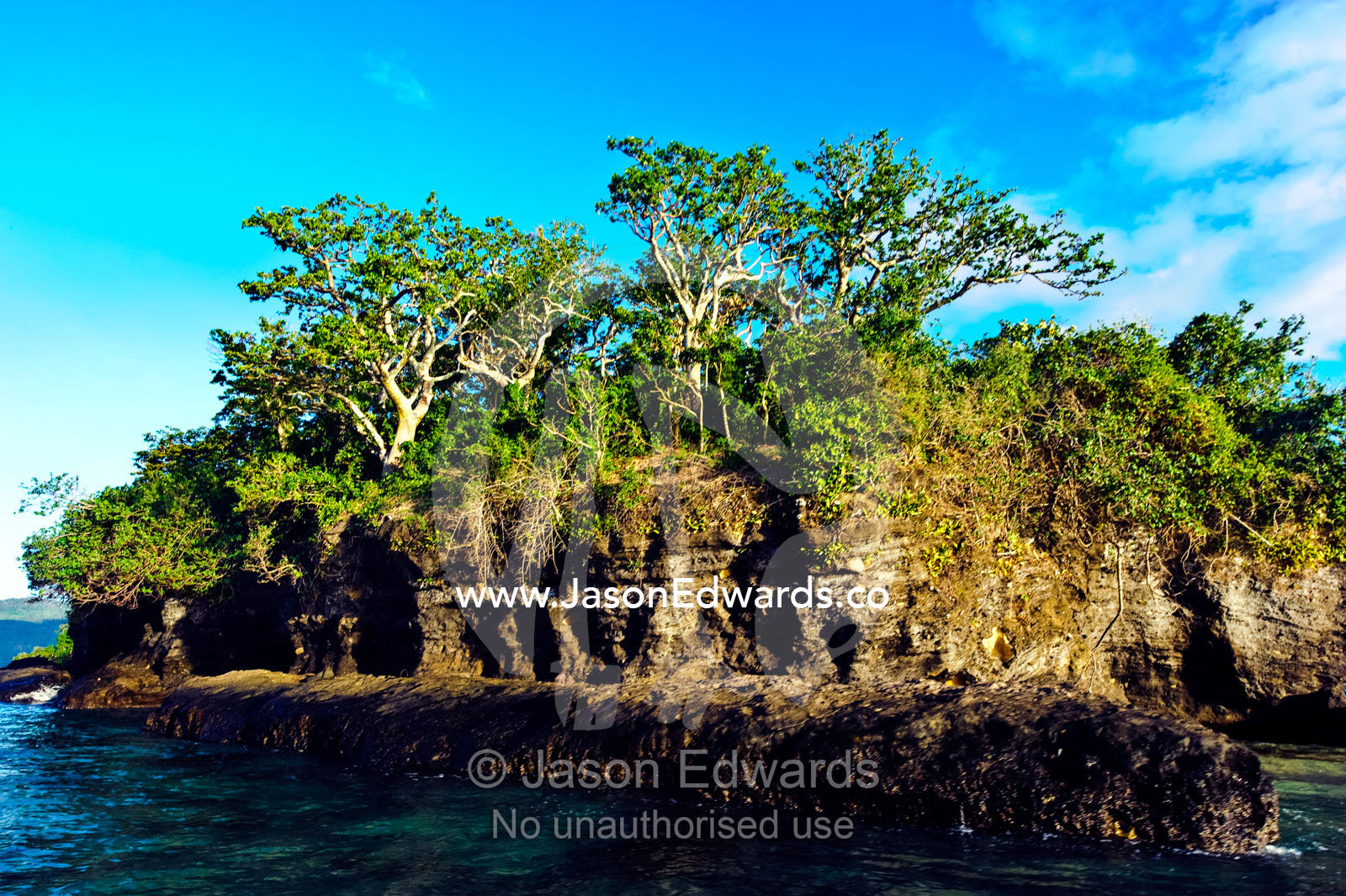 Low tide exposes a limestone coral island covered in rainforest. Korolevu Island, Pacific Ocean, Fiji Islands.