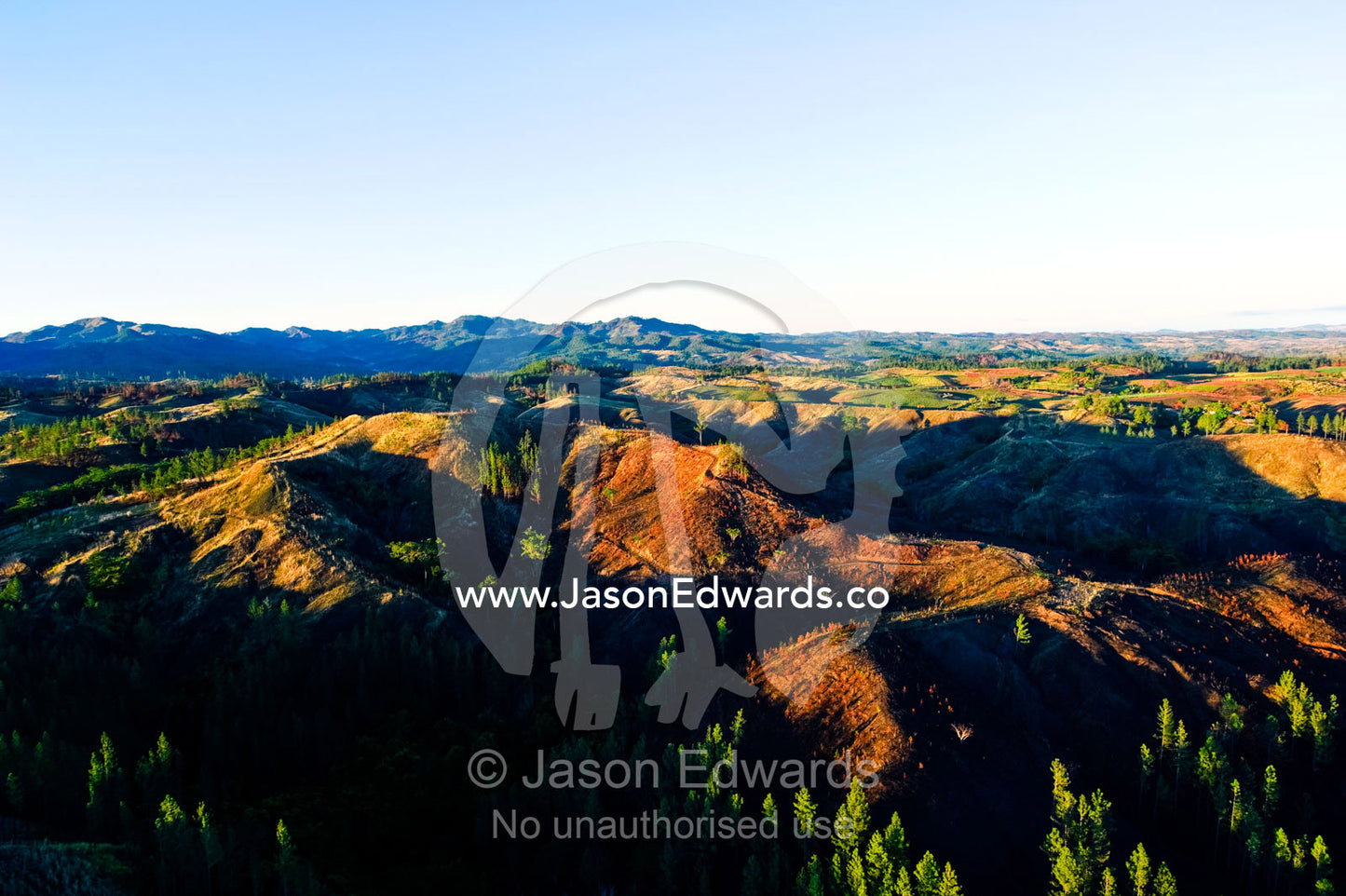 Dawn crowns deforested hilltops surrounded by pine plantations. Viti Levu, Pacific Ocean, Fiji Islands.