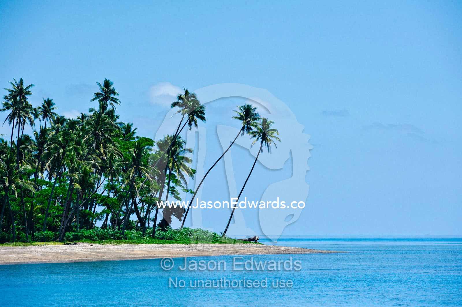 Palm trees line a deserted beach jutting into a calm tropical sea. Taveuni Island, Somosomo Strait, Pacific Ocean, Fiji Islands.