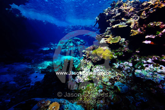 Sunlight piercing a lagoon lined with colorful coral reef and anemone. Kokod Point, Ringgold Atolls, Pacific Ocean, Fiji Islands.