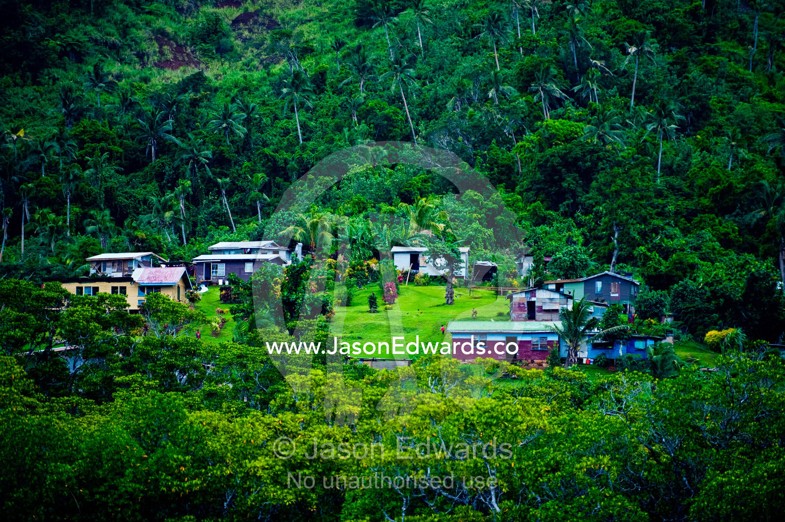 A small agricultural village on a forested slope on a tropical island. Qamea Island, Pacific Ocean, Fiji Islands.