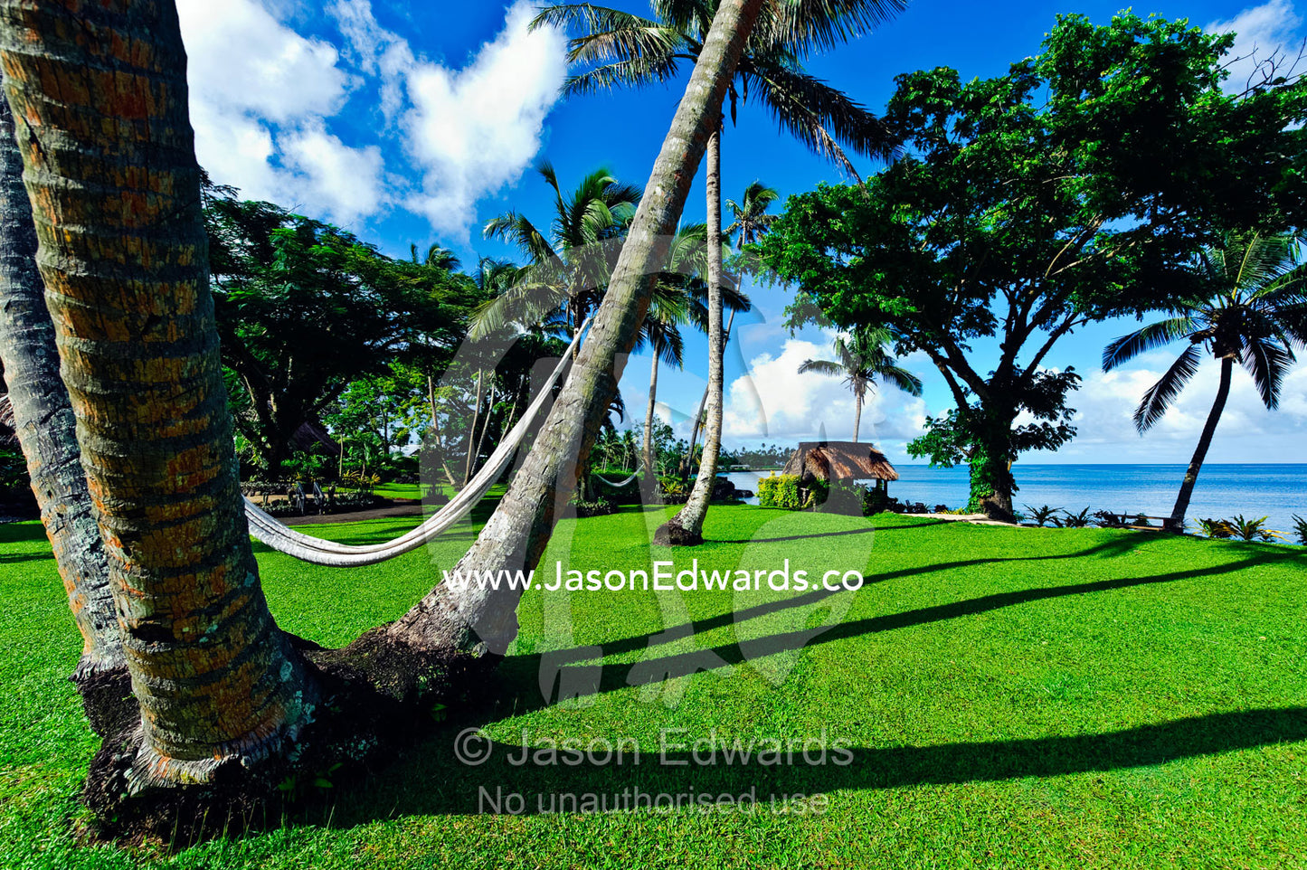 Hammocks hang lazily between garden palm trees overlooking the sea. Taveuni Island, Pacific Ocean, Fiji Islands.