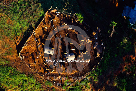 A herd of goats in a pen support a farming family with dairy and meat. Viti Levu Island, Pacific Ocean, Fiji Islands.