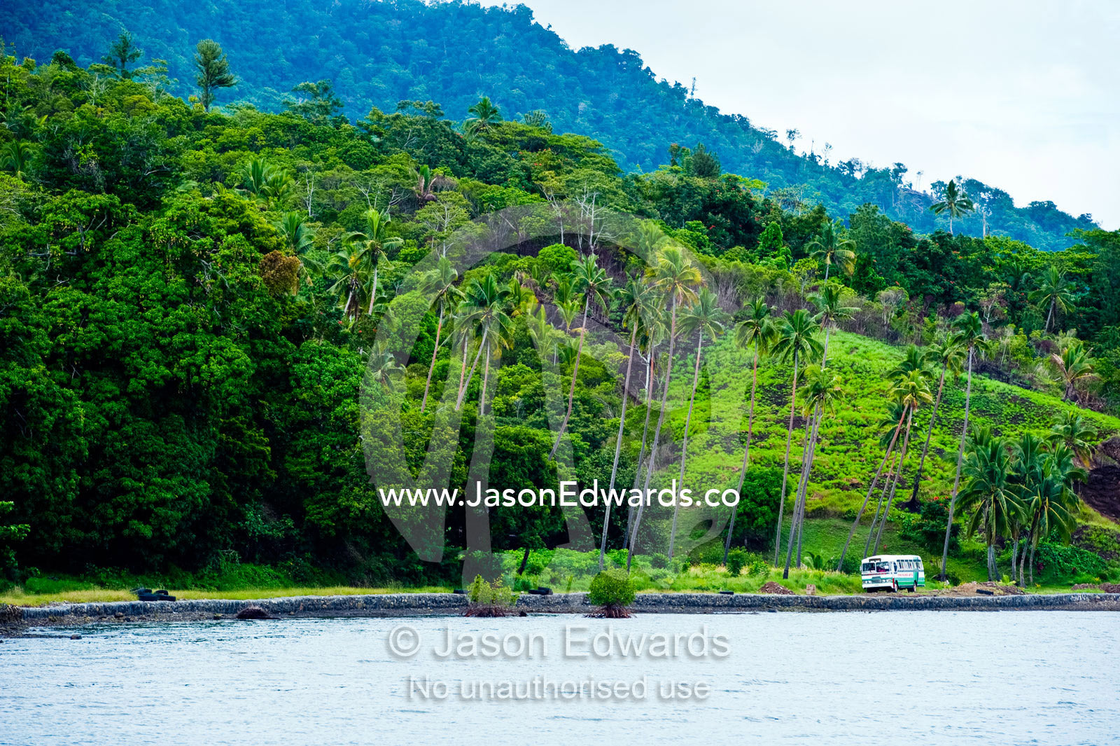 A school bus traveling along a picturesque tropical island road. Natewa Bay, Taveuni Island, Pacific Ocean, Fiji Islands.