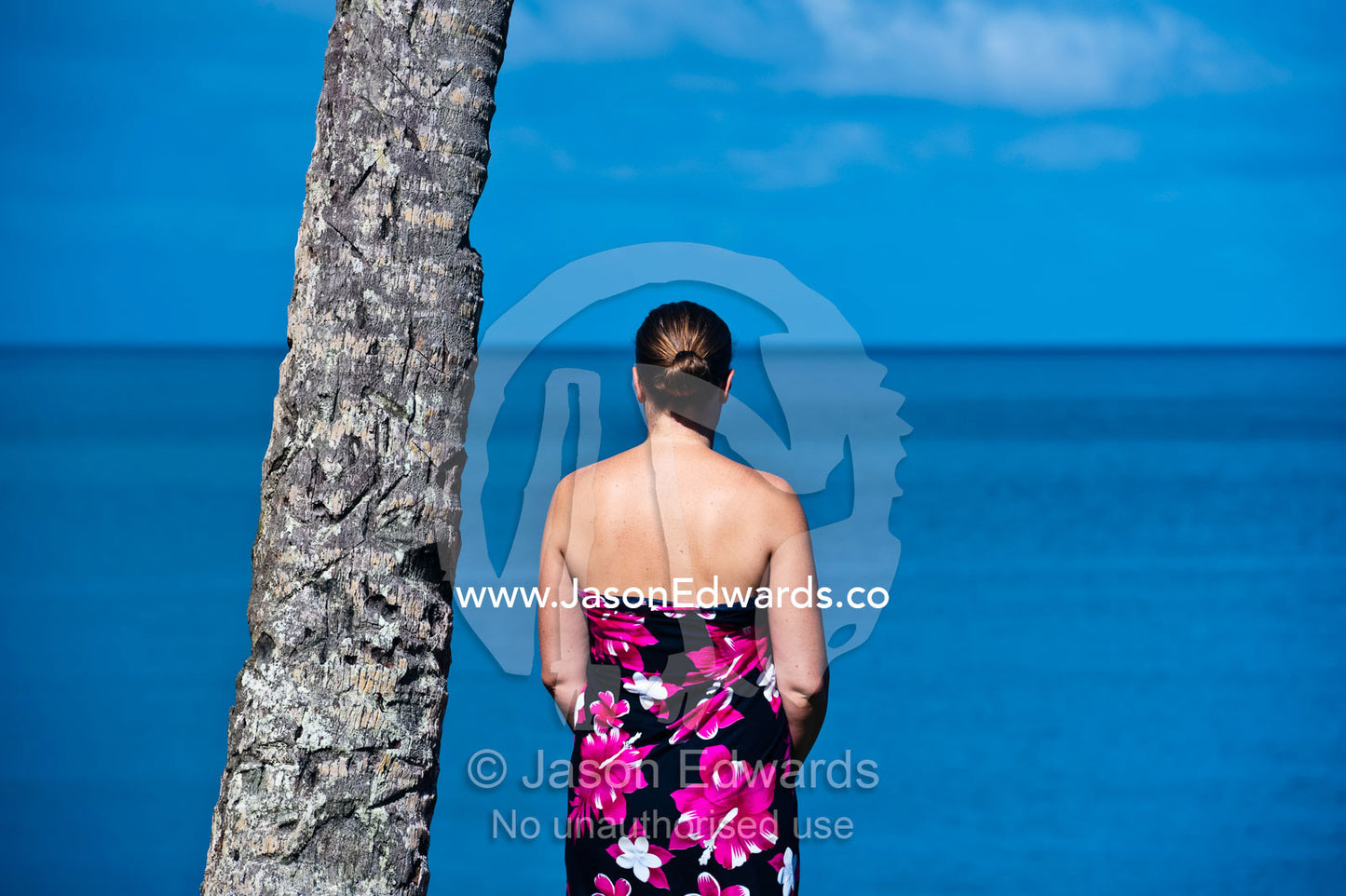 A woman gazes out to sea and the horizon from a tropical island. Taveuni Island, Somosomo Strait, Pacific Ocean, Fiji Islands.