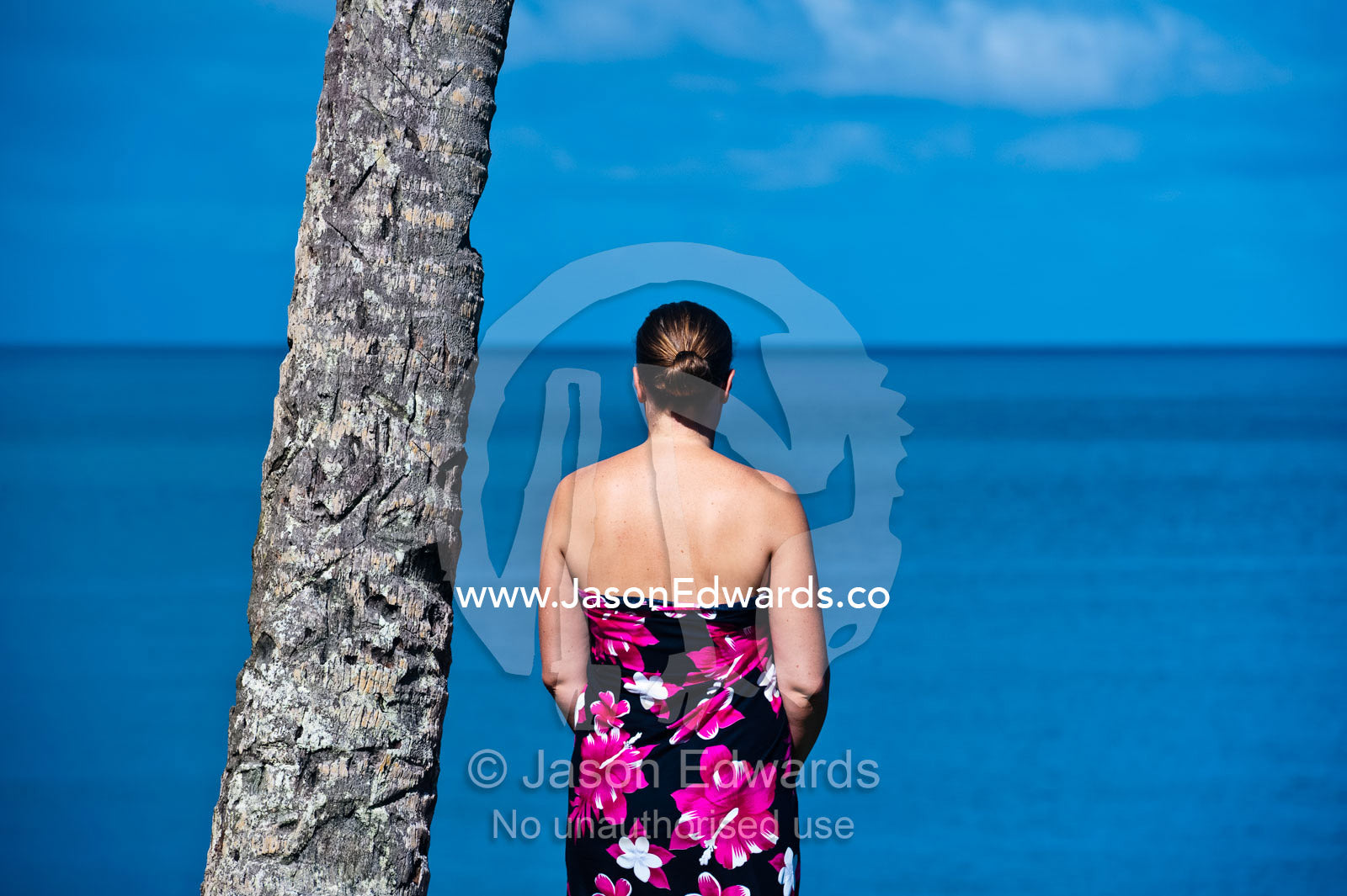 A woman gazes out to sea and the horizon from a tropical island. Taveuni Island, Somosomo Strait, Pacific Ocean, Fiji Islands.