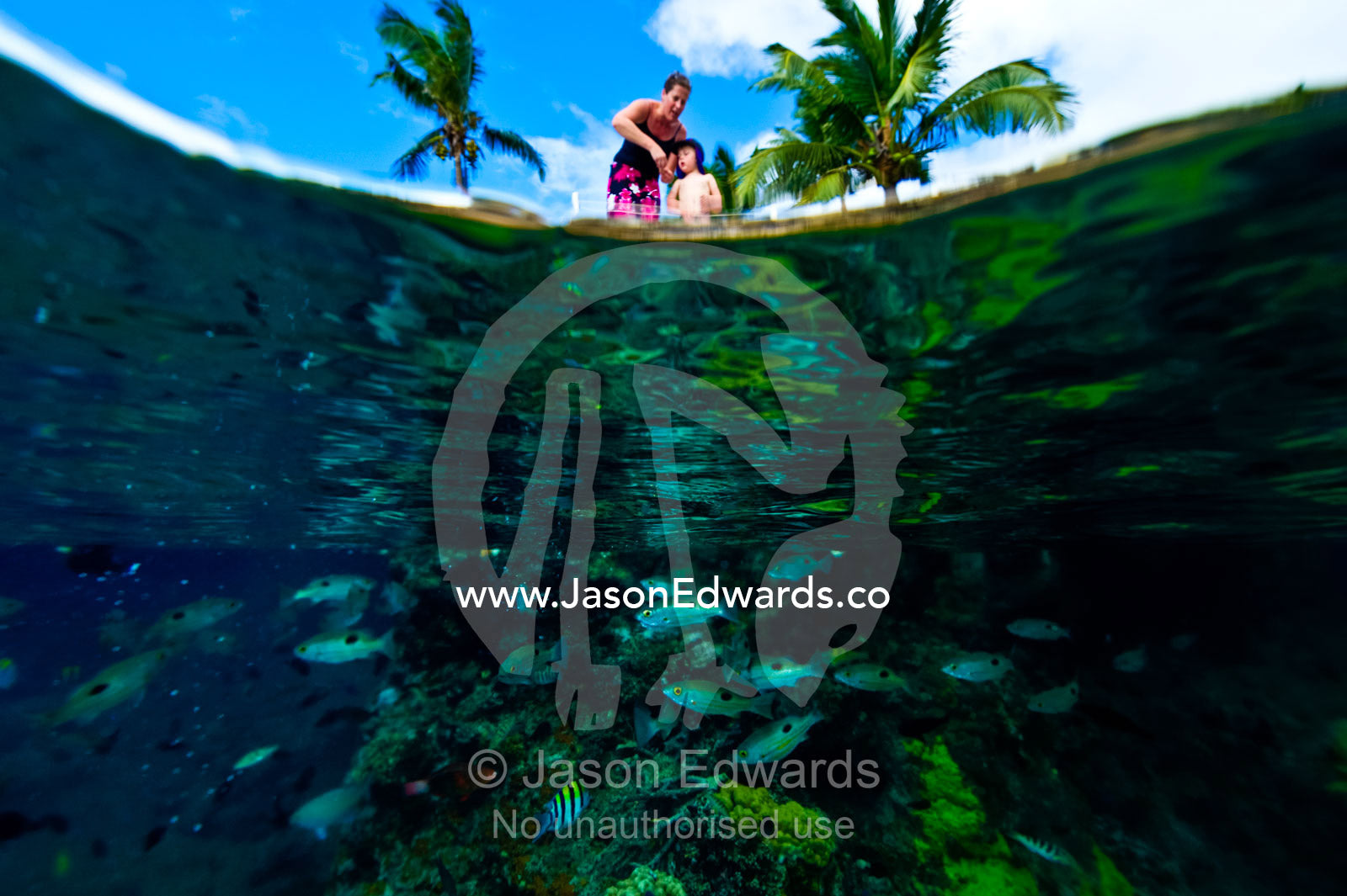 A mother and son feed schools of reef fish below a tropical island. Taveuni Island, Somosomo Strait, Pacific Ocean, Fiji Islands.