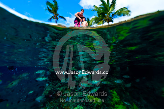 A mother and son feed schools of reef fish below a tropical island. Taveuni Island, Somosomo Strait, Pacific Ocean, Fiji Islands.