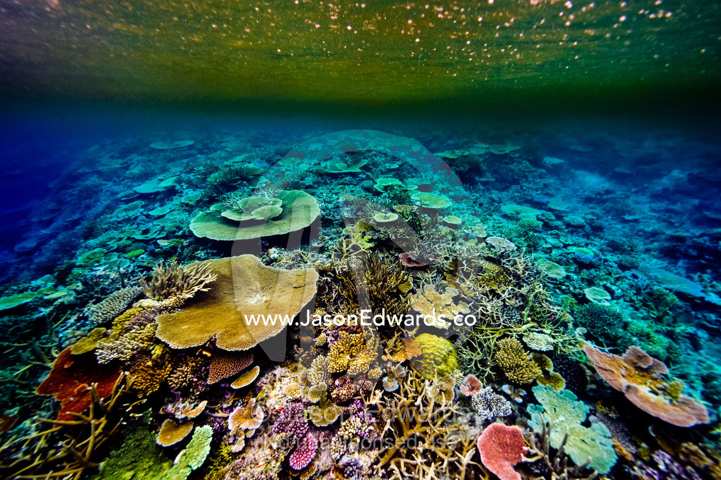 Torrential rain erodes topsoil from an island onto a coral reef. Cobia Island, Ringgold Atolls, Pacific Ocean, Fiji Islands.