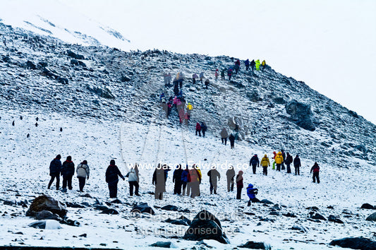 Tourists hike to the summit of a rugged icy mountain in single file. Danco Island, Antarctic Peninsula, Antarctica.
