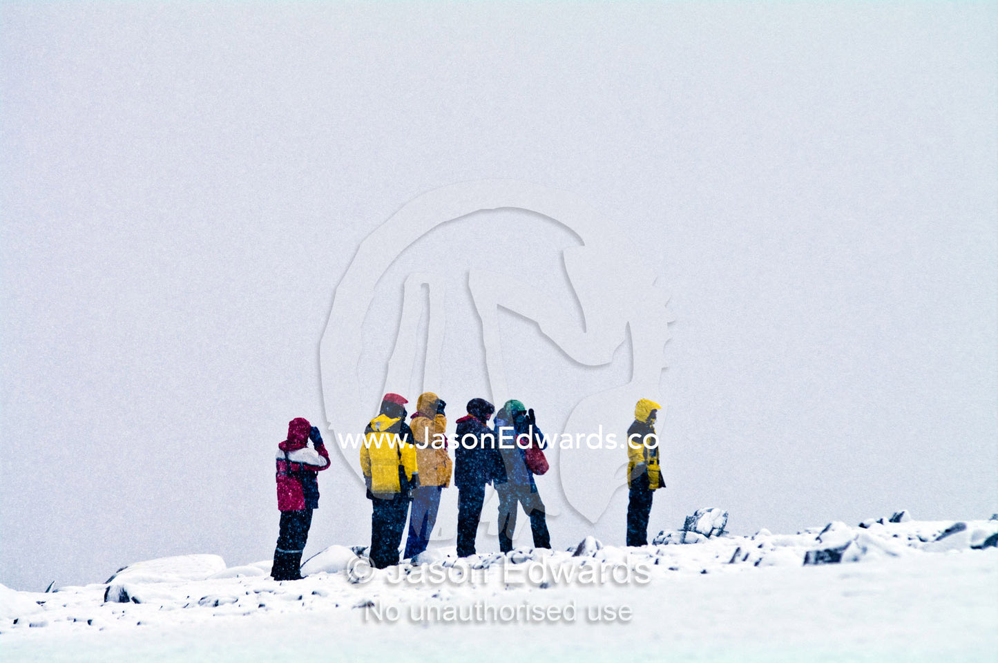 Tourists wait to follow an ornithologist guide through a blizzard. Danco Island, Antarctic Peninsula, Antarctica.