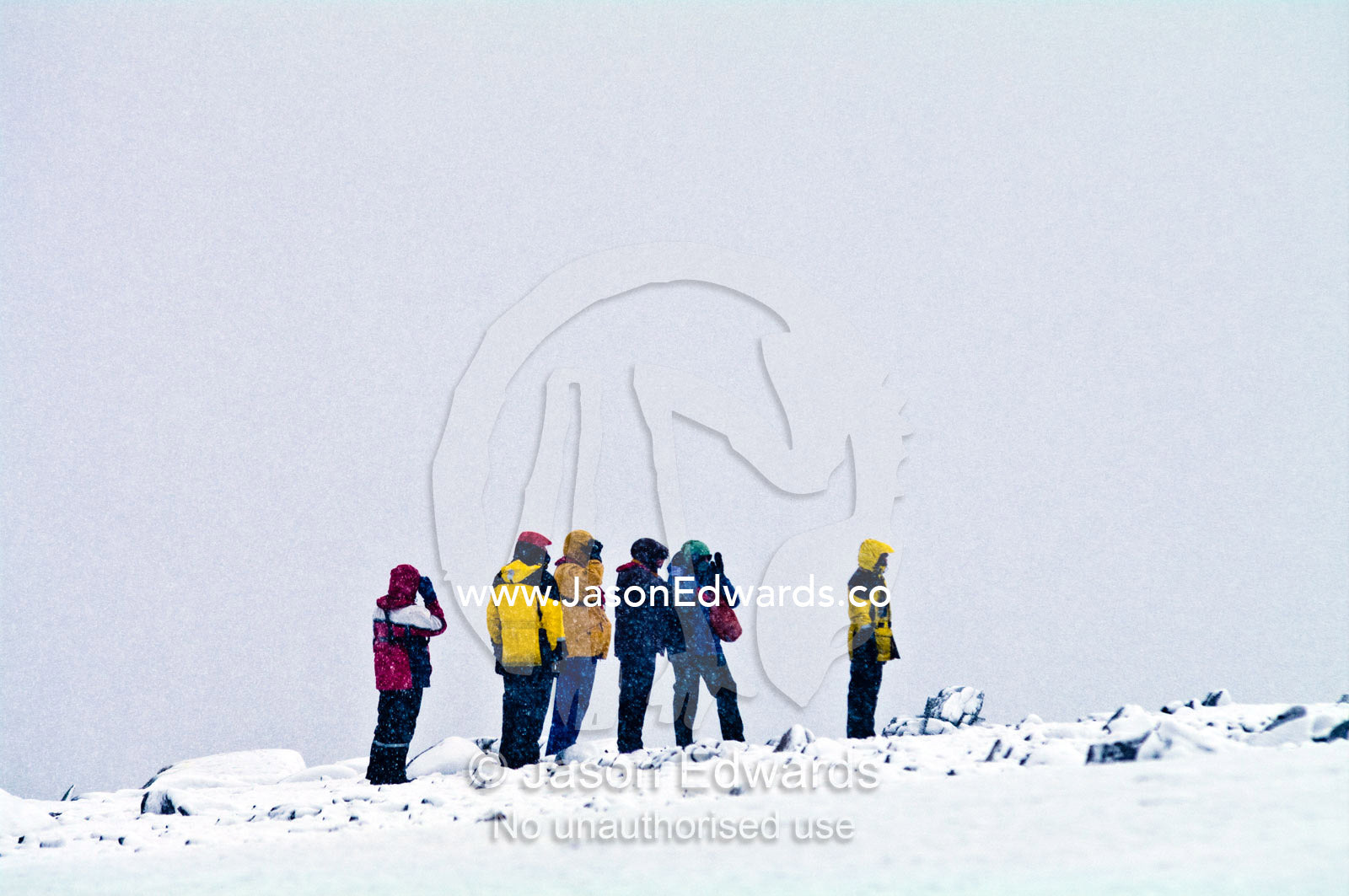 Tourists wait to follow an ornithologist guide through a blizzard. Danco Island, Antarctic Peninsula, Antarctica.