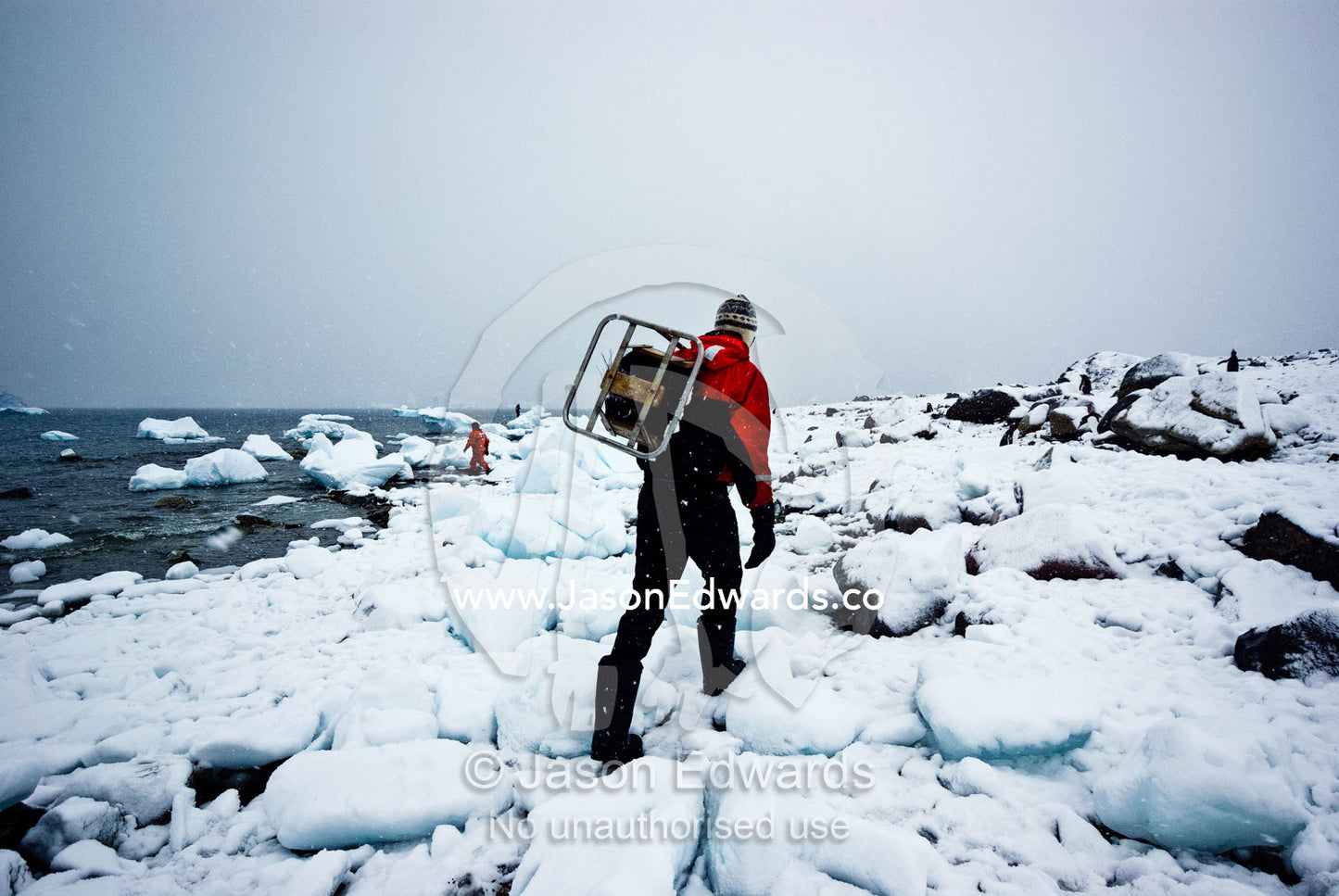 Removing a boot cleaner used to prevent seed dispersal from an island. Danco Island, Antarctic Peninsula, Antarctica.