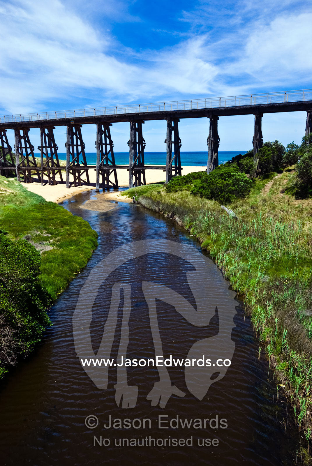 A timber railway bridge crossing a gully and small tannin tidal river. Bourne Creek, Kilkunda, Gippsland, Victoria, Australia.