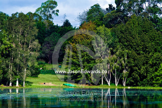 A canoe rests on a shoreline of a lake surrounded by trees. Witta, Sunshine Coast, Brisbane, Queensland, Australia.