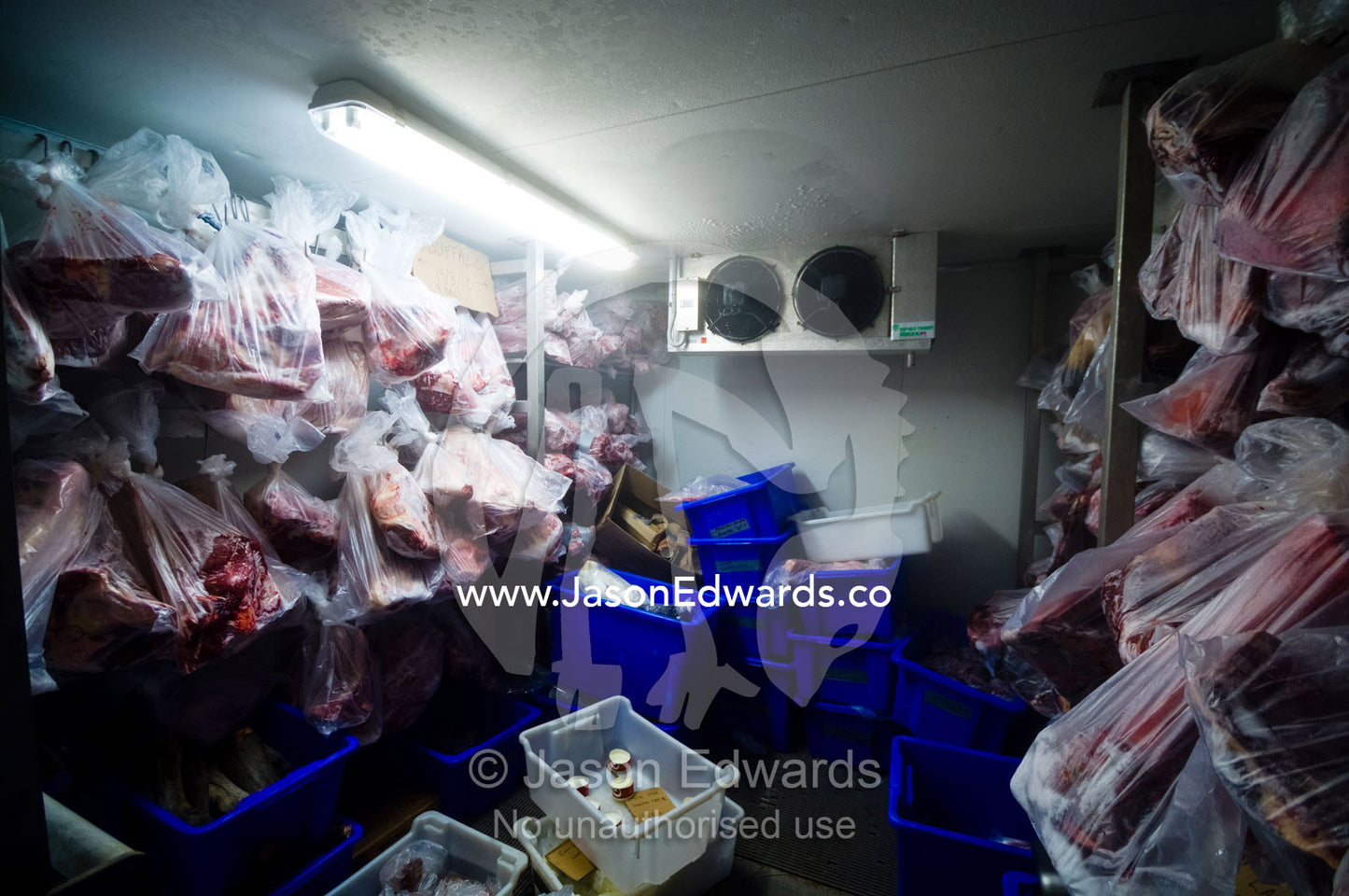 A freezer in a zoo containing frozen meat for captive Sumatran Tigers. Australia Zoo, Beerwah, Queensland, Australia.