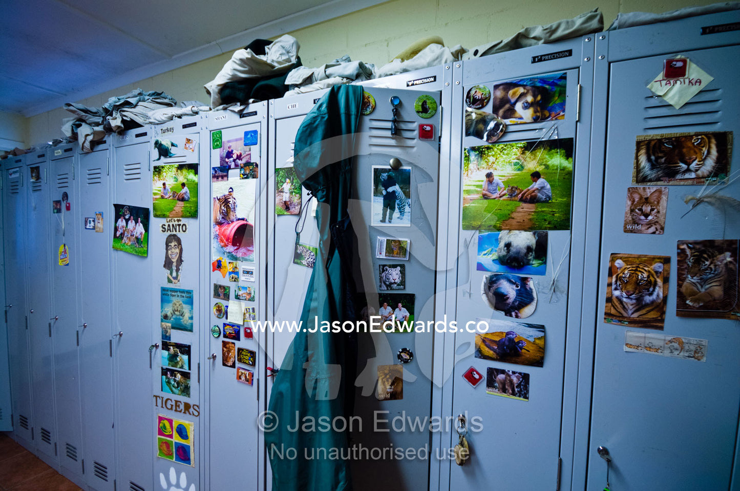 Lockers for Sumatran Tiger zookeepers double as a photo board. Australia Zoo, Beerwah, Queensland, Australia.