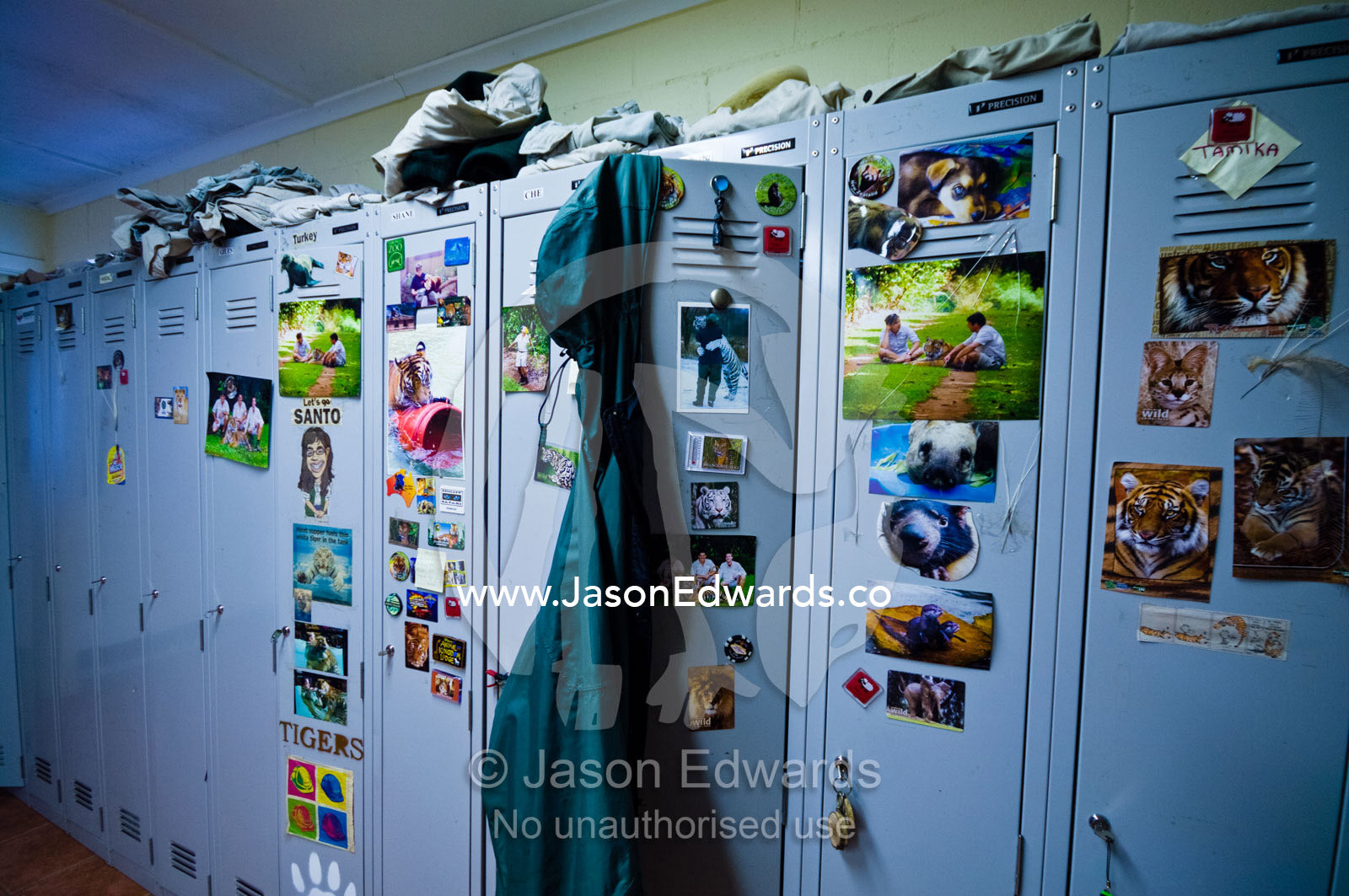 Lockers for Sumatran Tiger zookeepers double as a photo board. Australia Zoo, Beerwah, Queensland, Australia.