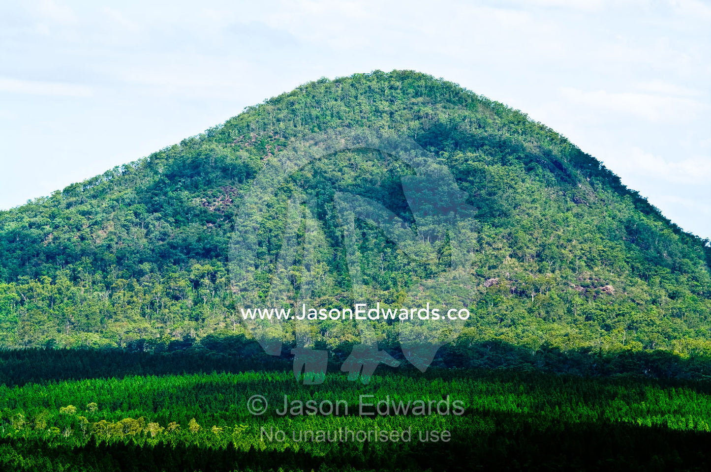 An eroded ancient volcanic plug rises above a forested plain. Mount Tibrogargen, Glass House Mountains, Brisbane, Queensland, Australia.