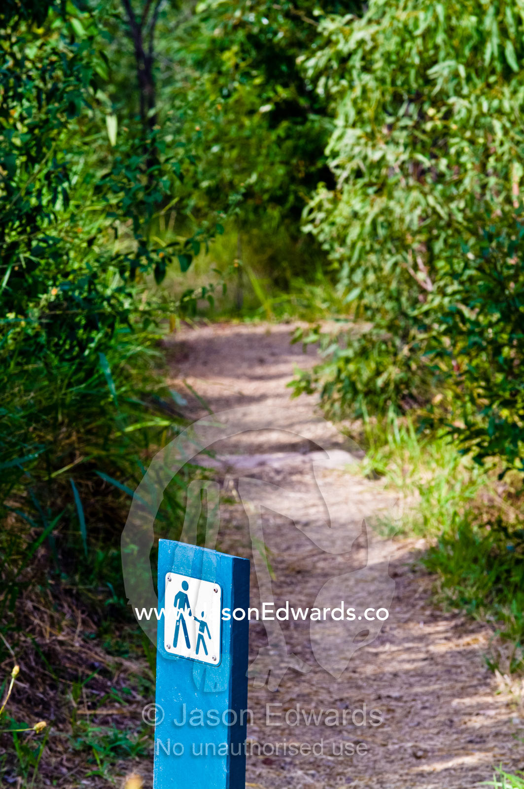 A hiking marker along a forest path indicates a family friendly track. Mount Tibrogargen, Glass House Mountains, Brisbane, Queensland, Australia.