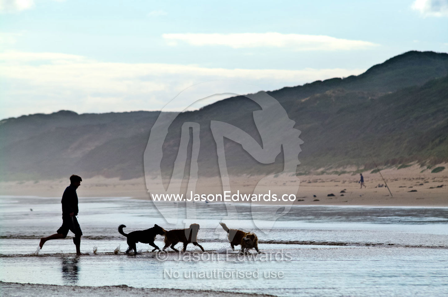A man runs with his pet dogs in the shallows of a wide beach. Venus Bay, Bass Strait, South Gippsland, Victoria, Australia.