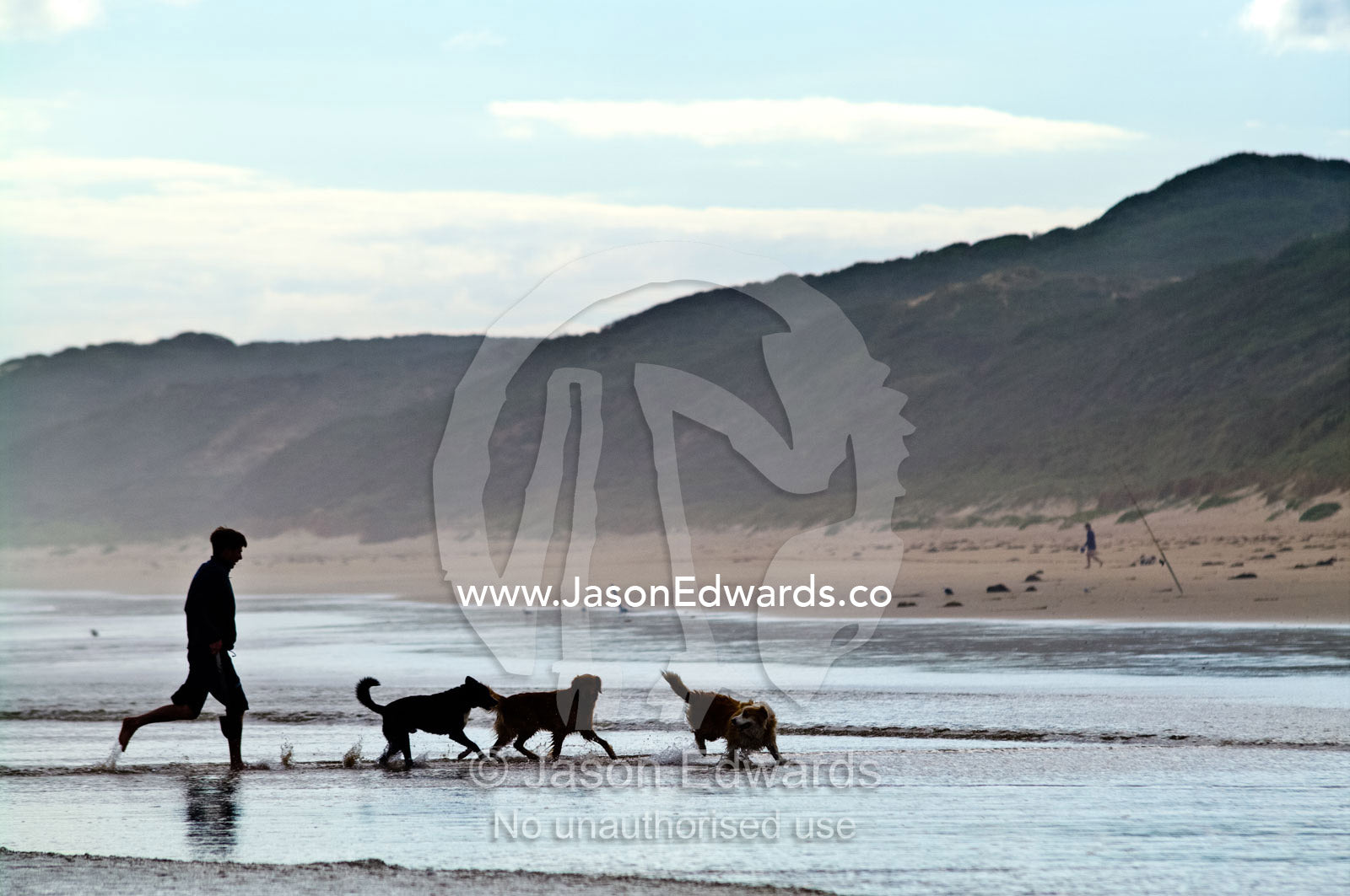 A man runs with his pet dogs in the shallows of a wide beach. Venus Bay, Bass Strait, South Gippsland, Victoria, Australia.