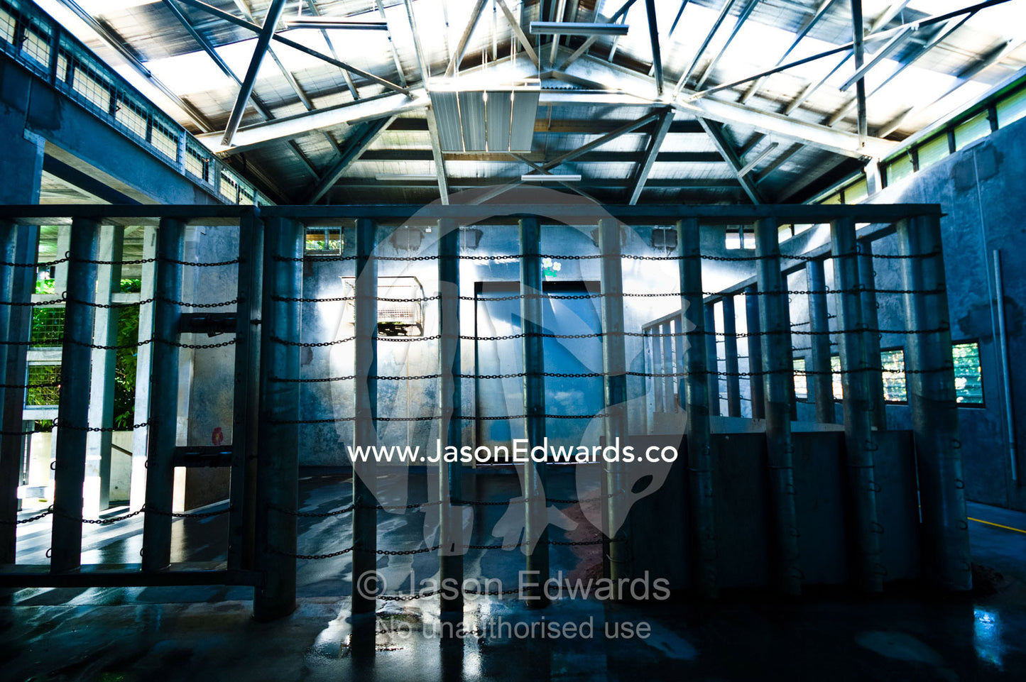 A steel and concrete zoo holding pen for endangered Asian Elephants. Melbourne Zoo, Parkeville, Victoria, Australia.