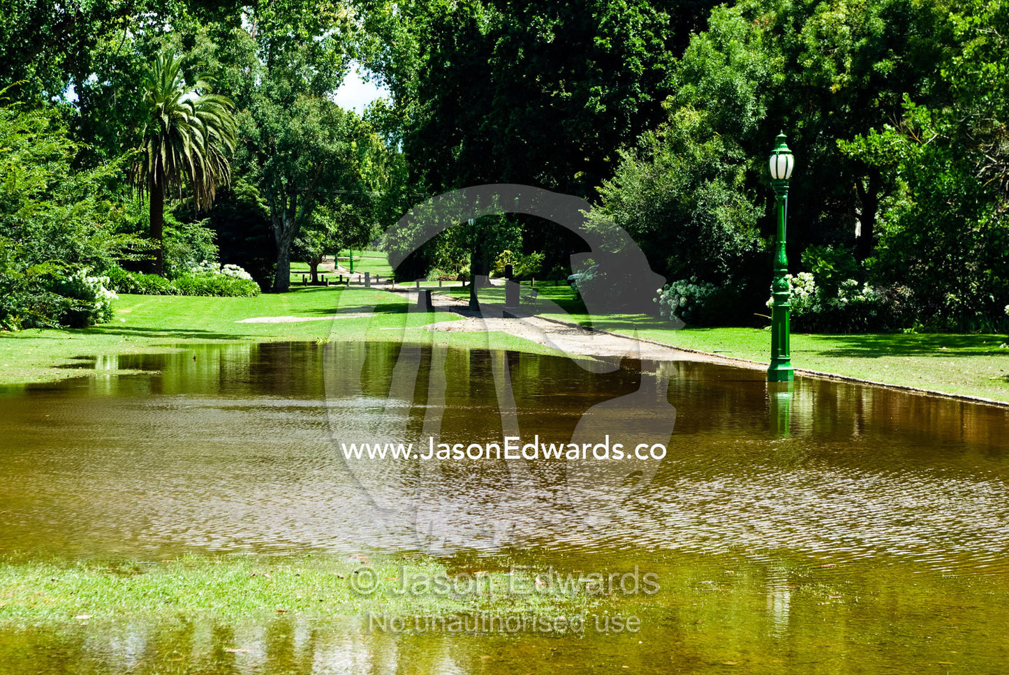 A flooded park in an inner city heritage garden after severe rainfall. Hedgely Dene Gardens, Malvern East, Melbourne, Victoria, Australia.