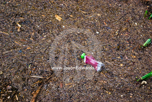 Pollution and leaves deposited in a wetland after flood waters recede. Gardener's Creek Trail, Malvern East, Melbourne, Victoria, Australia.