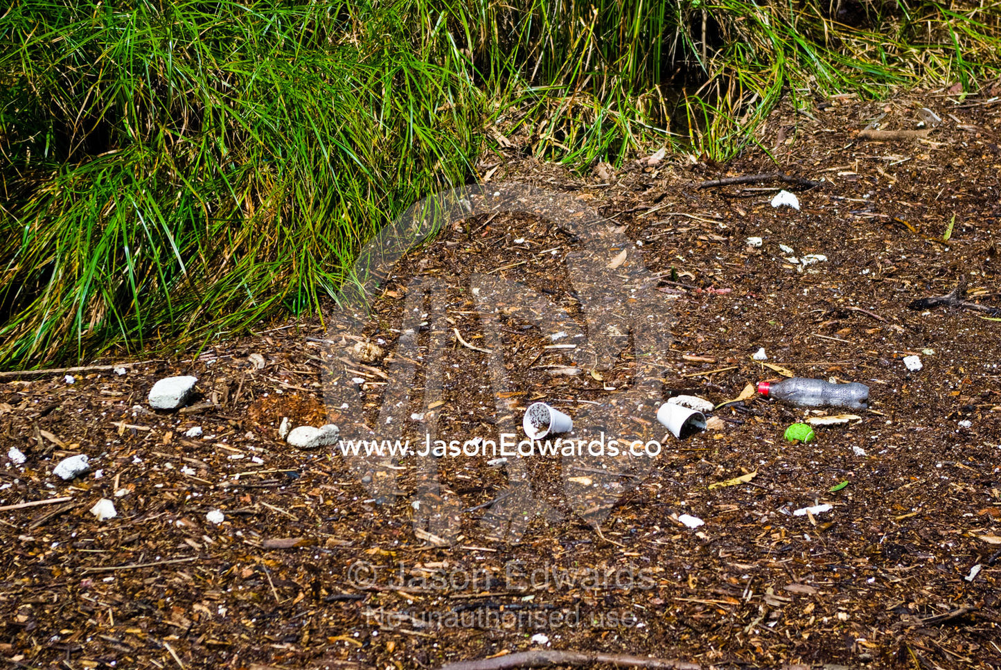 Pollution and leaves deposited in a wetland after flood waters recede. Gardener's Creek Trail, Malvern East, Melbourne, Victoria, Australia.
