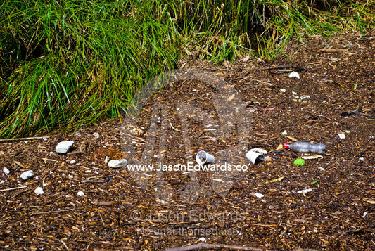 Pollution and leaves deposited in a wetland after flood waters recede. Gardener's Creek Trail, Malvern East, Melbourne, Victoria, Australia.