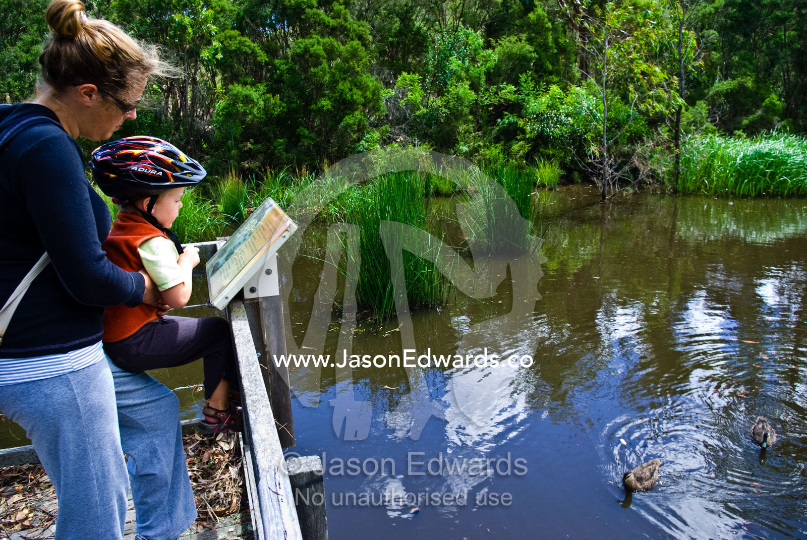 A mother and son read an interpretive sign over a wetland with ducks. Gardener's Creek Trail, Malvern East, Melbourne, Victoria, Australia.