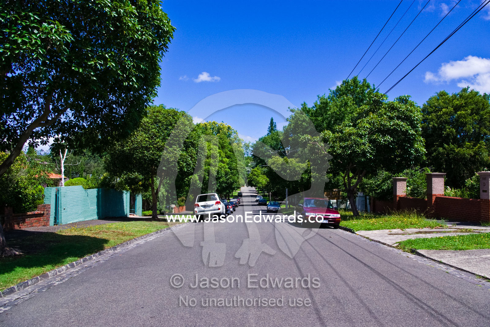 Cars parked in a residential street in a leafy inner city suburb. Malvern East, Melbourne, Victoria, Australia.