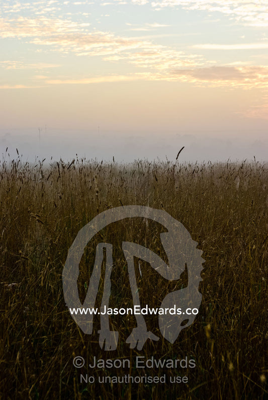 Winter dew drops and fog over a farm field and dry wheat at dawn. Mount Duneed, Geelong, Victoria, Australia.