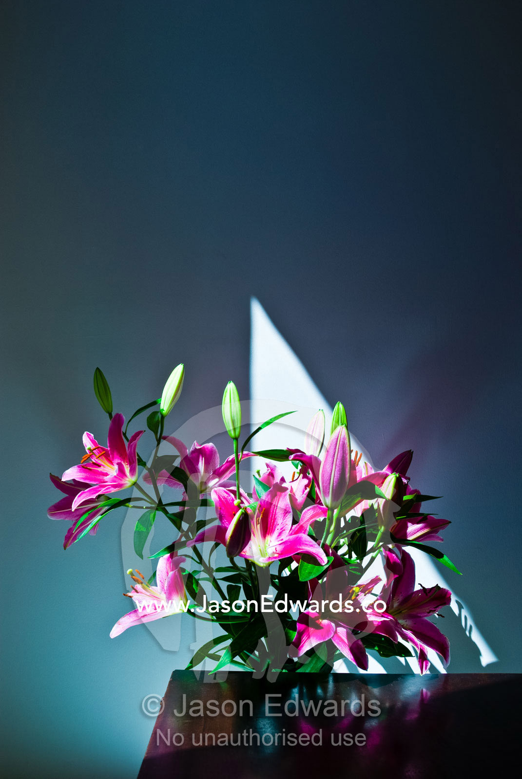 Sprawling pink petals and buds in a bouquet of fragrant Oriental Lily. Carlton North, Melbourne, Victoria, Australia.