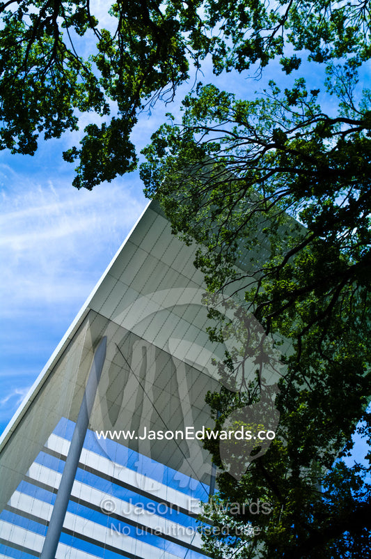 Modern stainless steel architecture and chimneys rise above a garden. Museum Victoria, Carlton Gardens, Melbourne, Victoria, Australia.