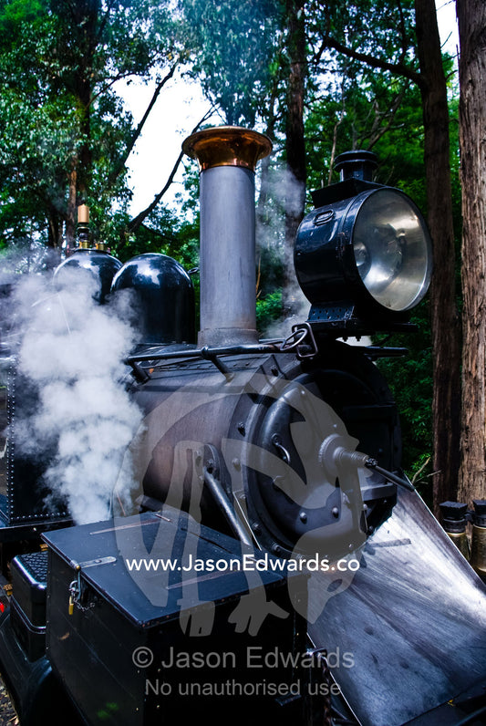 Steam funnels out a pressure release valve on an antique steam engine. Lakeside, Emerald, Melbourne, Victoria, Australia.