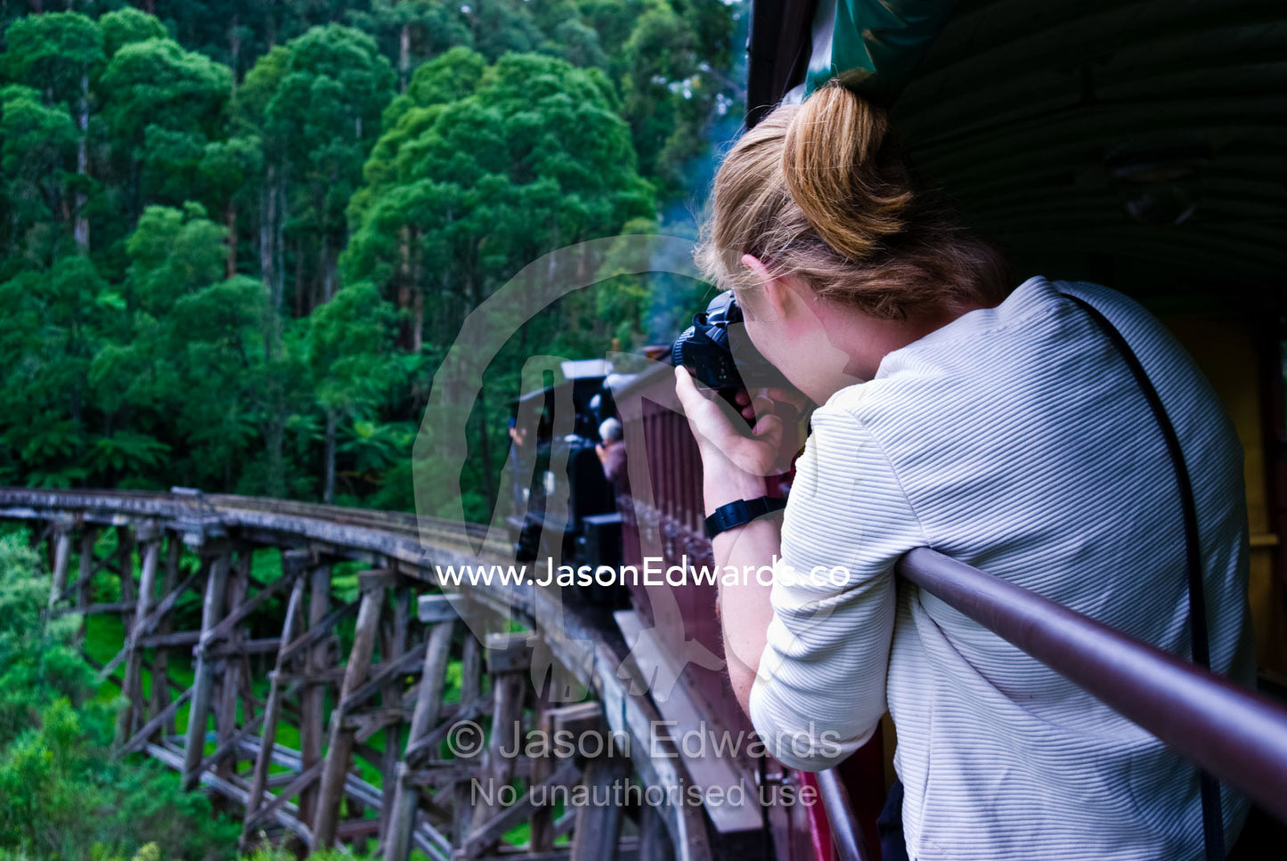 Passengers on an antique steam train crossing a wooden rail bridge. Belgrave, Melbourne, Victoria, Australia.