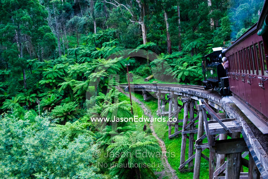 Passengers on an antique steam train crossing a wooden rail bridge. Belgrave, Melbourne, Victoria, Australia.