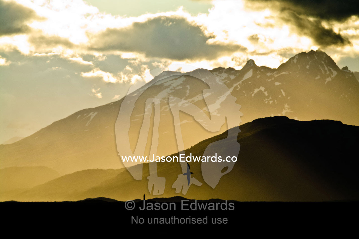 Sunset over the Andes, an albatross and Les Eclaireurs Lighthouse. Ushuaia, Martial Mountains, Fuegian Andes, Ushuaia Bay, The Beagle Channel, Tierra del Fuego Archipelago, Straits of Magellan, Tierra del Fuego Province, Patagonia, Argentina.