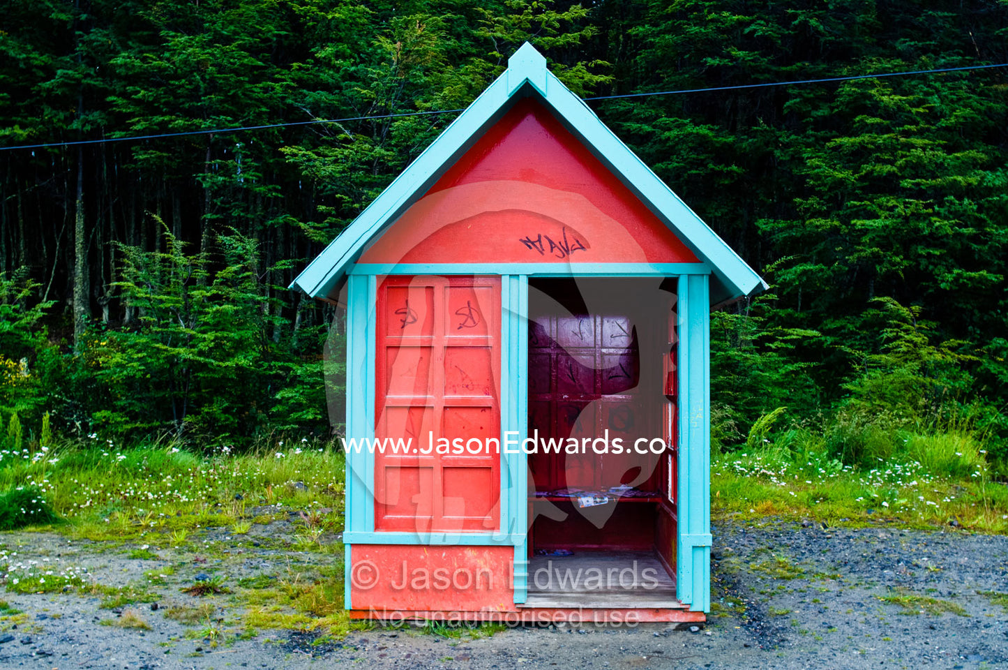 Graffiti on a lonely read and blue bus stop shelter by a beech forest. Ushuaia, Tierra del Fuego Archipelago, Straits of Magellan, Tierra del Fuego Province, Patagonia, Argentina.