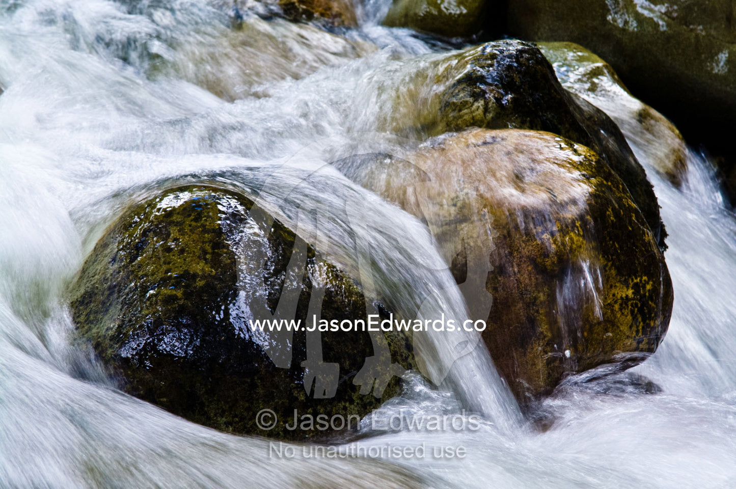An alpine stream flows over boulders in a river bed in a beech forest. Glacier El Martial, Ushuaia, Fuegian Andes, Tierra del Fuego Archipelago, Straits of Magellan, Tierra del Fuego Province, Patagonia, Argentina.
