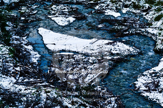 A snowy alpine river choked by trees and logs smashed by winter storms Glacier El Martial, Ushuaia, Fuegian Andes, Tierra del Fuego Archipelago, Straits of Magellan, Tierra del Fuego Province, Patagonia, Argentina.
