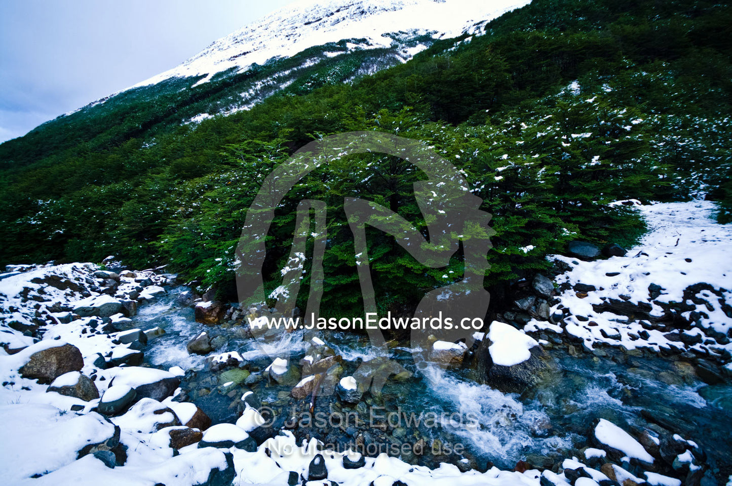 An icy river running past a beech forest on a snowy mountainside. Glacier El Martial, Ushuaia, Fuegian Andes, Tierra del Fuego Archipelago, Straits of Magellan, Tierra del Fuego Province, Patagonia, Argentina.
