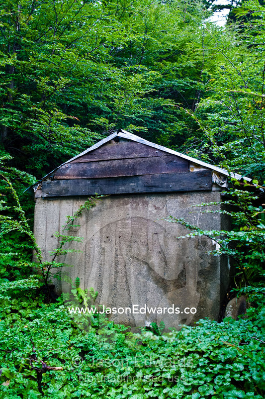 A small shed in the forest houses a water pump for a nearby stream. Glacier El Martial, Ushuaia, Fuegian Andes, Tierra del Fuego Archipelago, Straits of Magellan, Tierra del Fuego Province, Patagonia, Argentina.